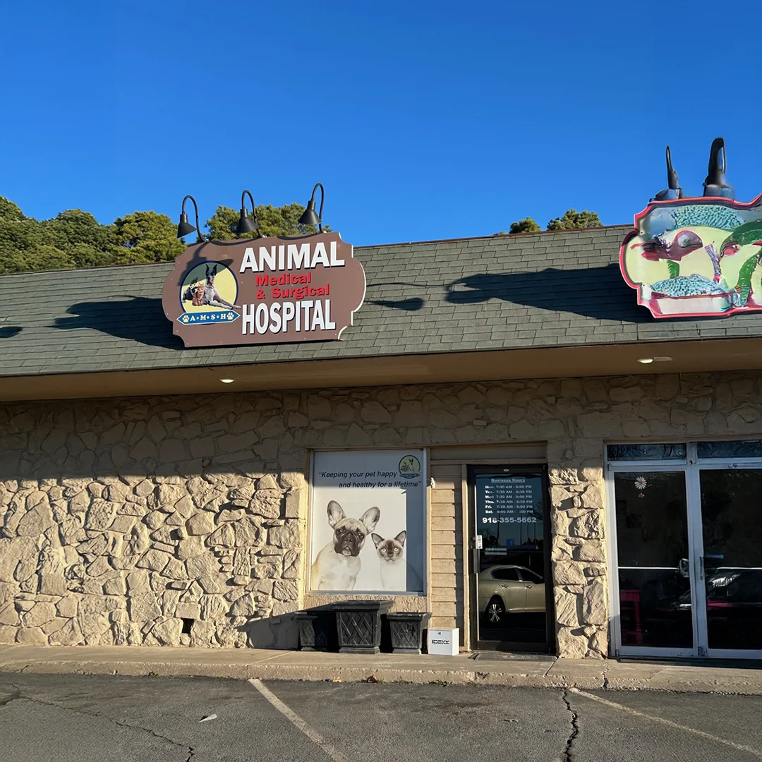 Animal Medical and Surgical Hospital