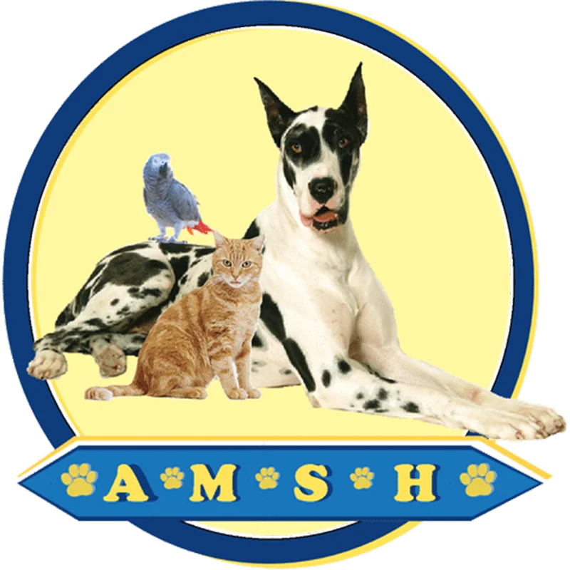 Animal Medical and Surgical Hospital Logo