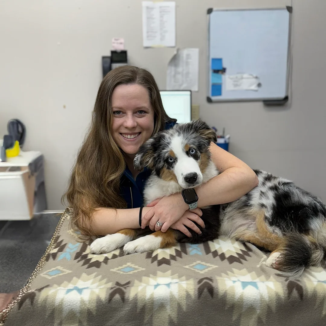 Veterinarian Dr. Kristy Cox smiling and hugging a young Australian Shepherd on a patterned blanket inside Animal Medical and Surgical Hospital.