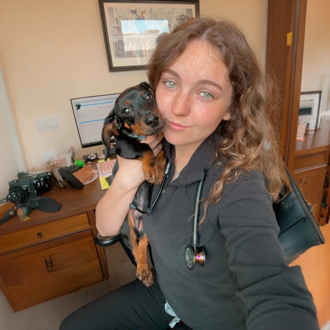 Nurse Manager Kami Liles holding a black and tan dachshund puppy while seated at a desk inside Animal Medical and Surgical Hospital Main.