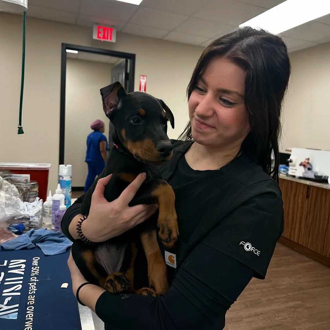 Smiling veterinary team member holding a young black and tan puppy inside Animal Medical and Surgical Hospital.