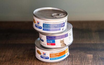 Cat Nutrition Tips