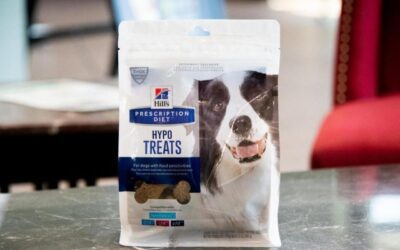 Dog Diet Tips
