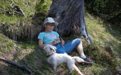 Keeping Pets Cool