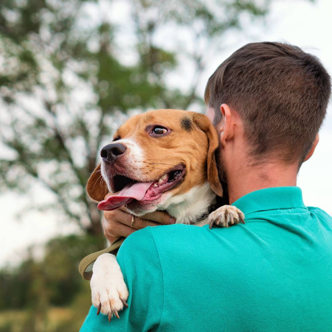 a person is holding a dog in their arms