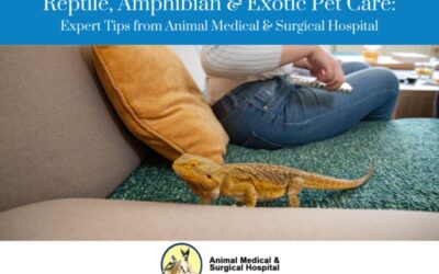 Exotic Pet Care Tips