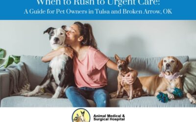 Urgent Pet Care Guide