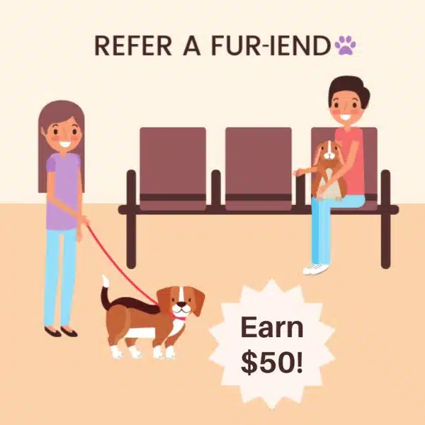 Refer a fur iend graphics